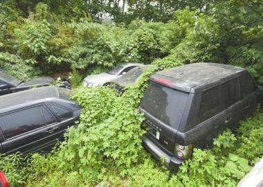 被杂草掩埋的车。